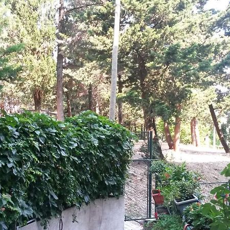 דוברובניק Anamarija Apartman מראה חיצוני תמונה
