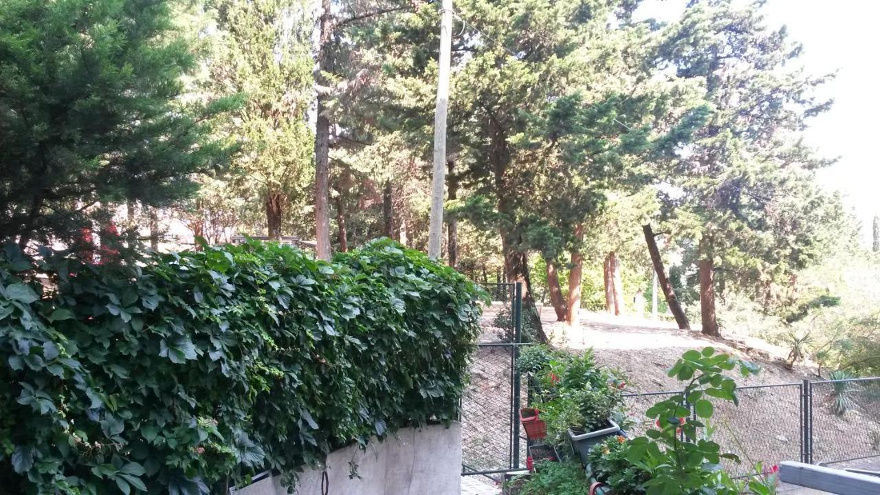 דוברובניק Anamarija Apartman מראה חיצוני תמונה