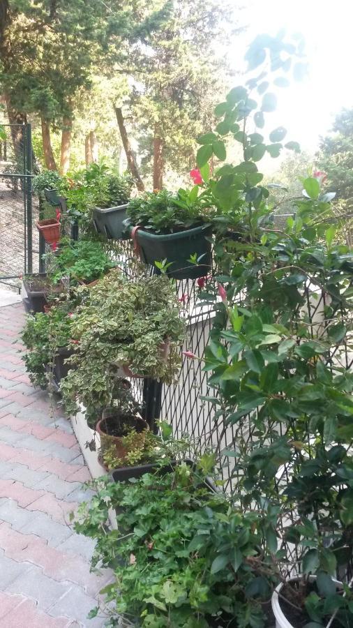 דוברובניק Anamarija Apartman מראה חיצוני תמונה